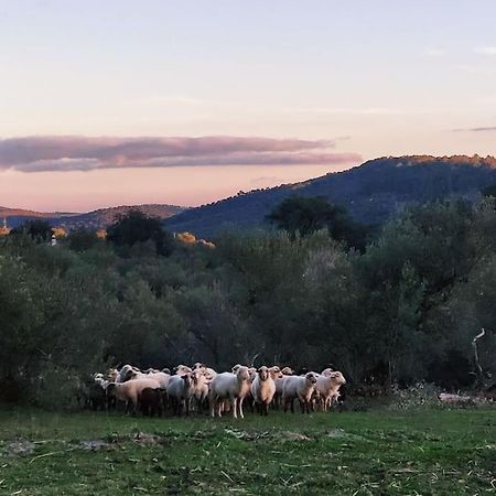Vila Olivae Aracena Exteriér fotografie